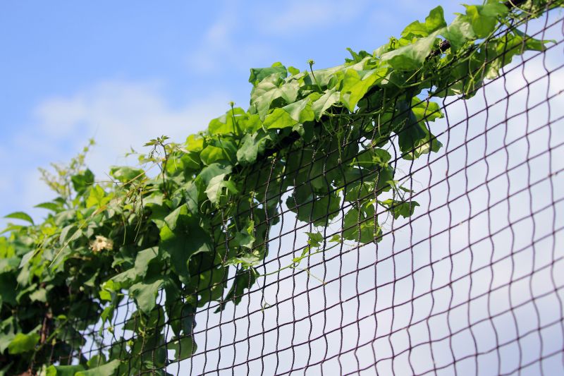 Accessibility of the Site