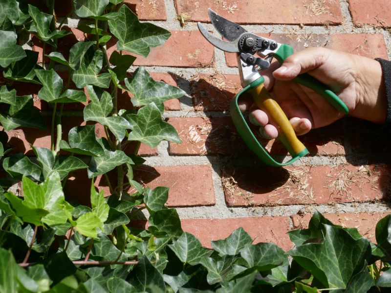 Ivy Removal Tools
