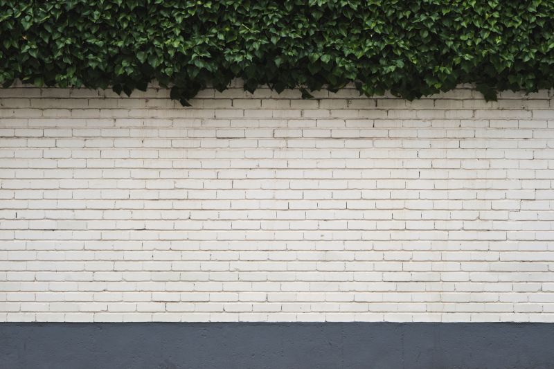 Property After Ivy Removal